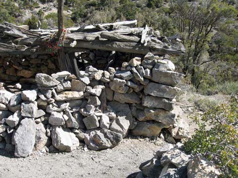 La Madre Miner's Cabin