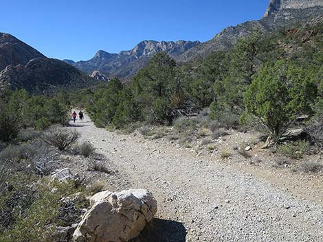 White Rock Loop Trail