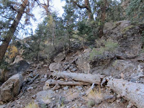 Carole Lombard Crash Site