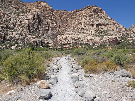 Lost Creek Trail