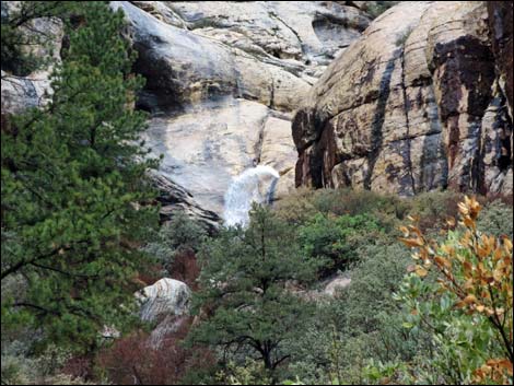 Lower Lost Creek Falls