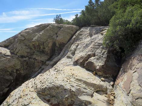 Upper Lost Creek Falls