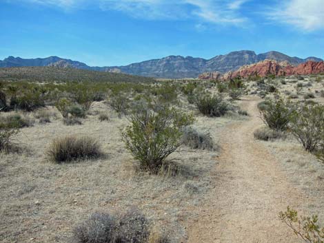 Moenkopi Trail