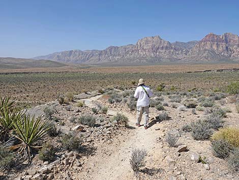 Moenkopi Trail