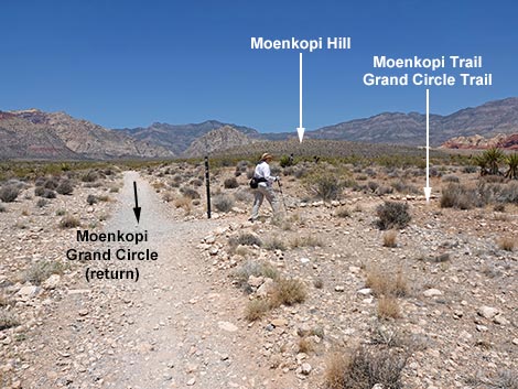 Ride Share Deluxe Loop Trail