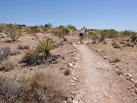 Ride Share Deluxe Loop Trail