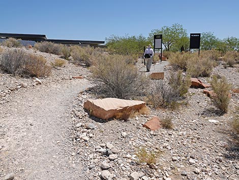 Ride Share Deluxe Loop Trail