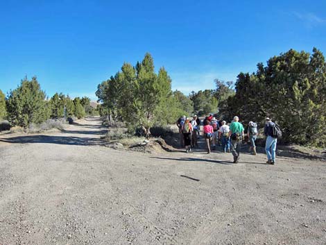 Mountain Spring Peak Route