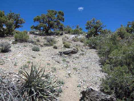 Mountain Spring Peak Route