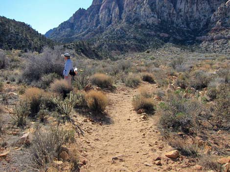 Oak Creek Canyon