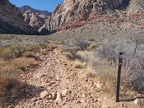 Oak Creek Canyon Trail