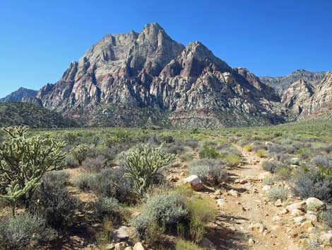 oak creek canyon