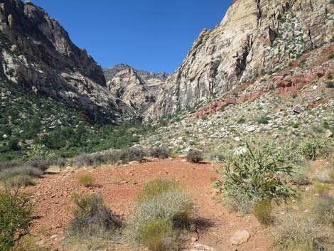 oak creek canyon