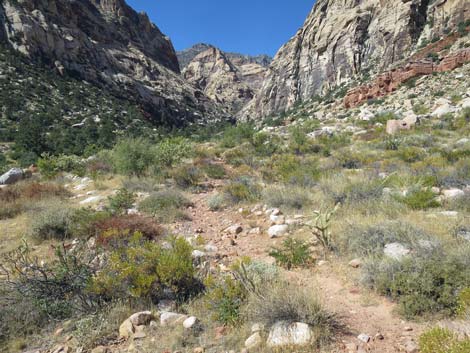 oak creek canyon