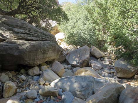 oak creek canyon