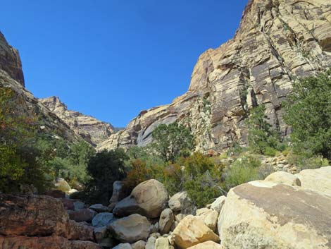 oak creek canyon