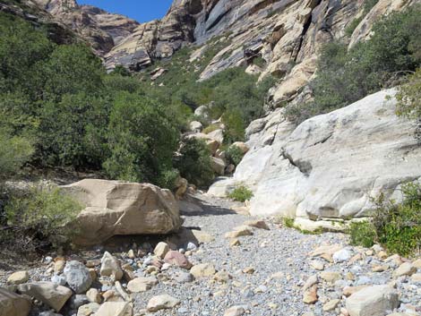 oak creek canyon