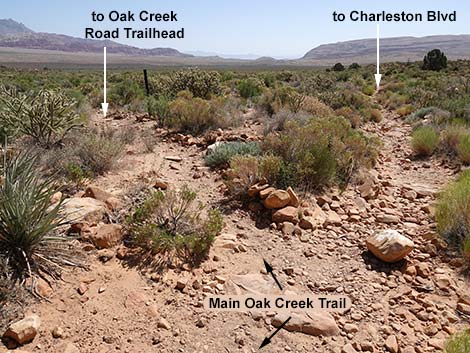 Oak Creek Canyon Trail 