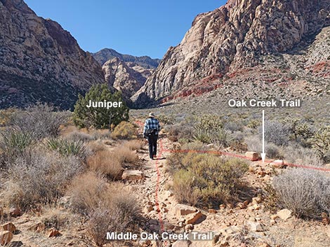 Middle Oak Creek Trail