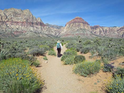 Middle Oak Creek Trail