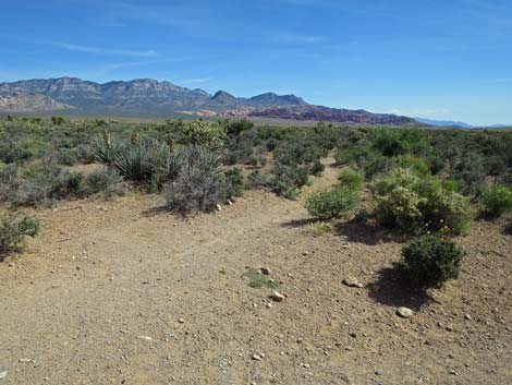 Middle Oak Creek Trail