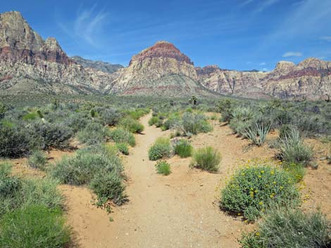 Middle Oak Creek Trail