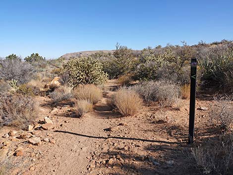 Middle Oak Creek Trail