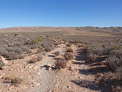 Middle Oak Creek Trail