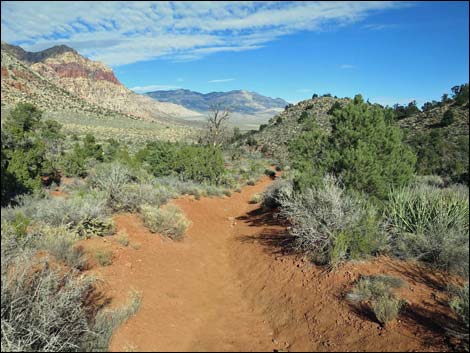 South Oak Creek Trail