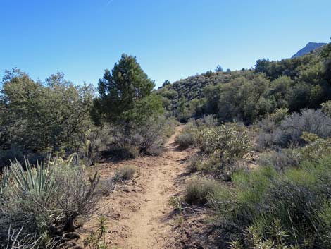 South Oak Creek Trail