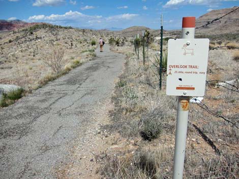 Overlook Trail