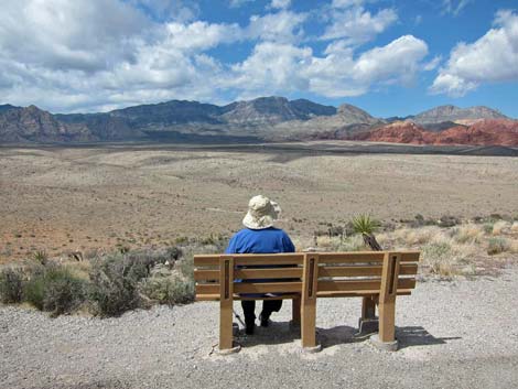 Overlook Trail