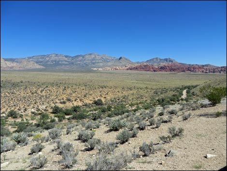 Red Rock Overlook