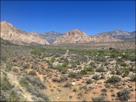 Red Rock Wash Overlook