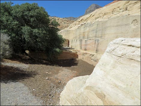 Sandstone Quarry