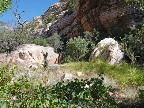 Willow Spring Picnic Area