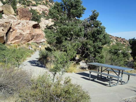 Willow Spring Picnic Area