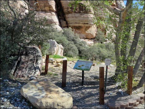 Willow Springs Picnic Area