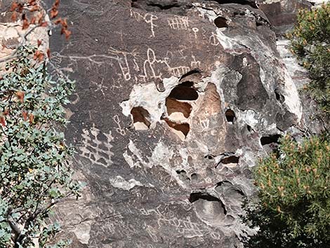 Petroglyph Wall