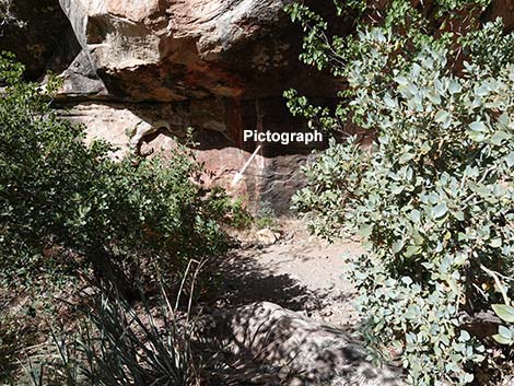 Petroglyph Wall Trail