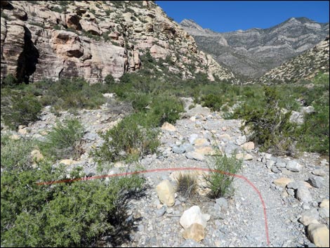 Petroglyph Wall Trail