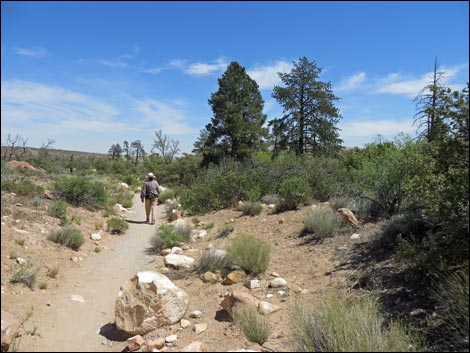 Pine Creek Canyon Trail