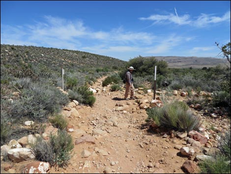 Pine Creek Trail