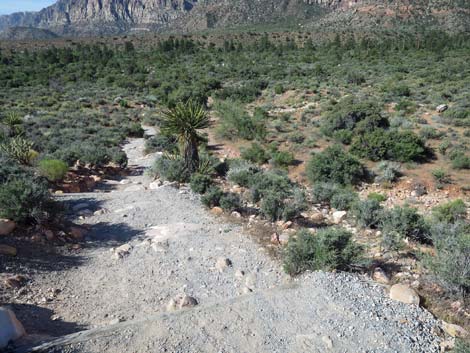 Pine Creek Canyon Trail