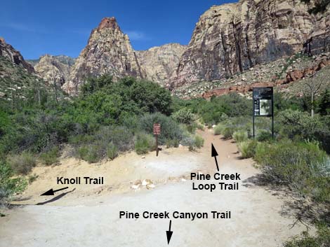 Pine Creek Canyon Trail