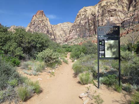 Pine Creek Canyon Trail