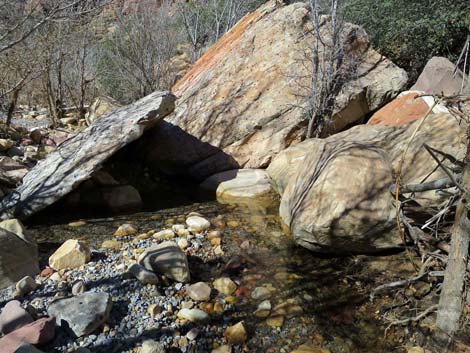 Pine Creek Trail