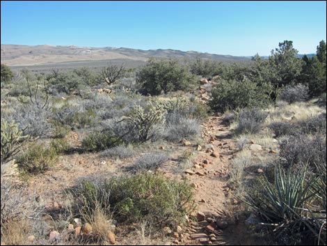 Rainbow Mountain Loop