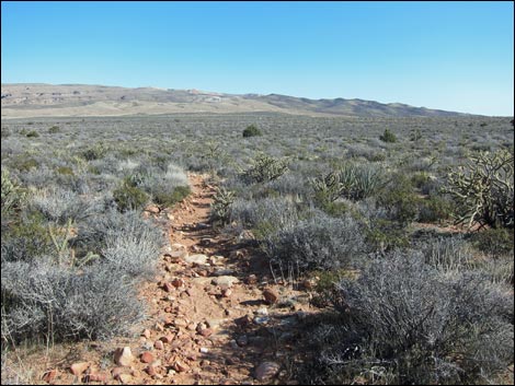 Rainbow Mountain Loop