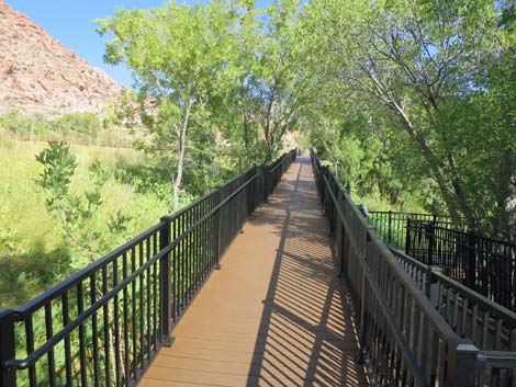 Red Spring Boardwalk